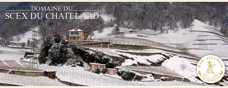 Domaine du Scex du Châtelard, Villeneuve