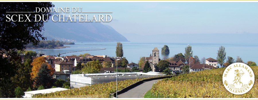 Domaine du Scex du Châtelard, Villeneuve