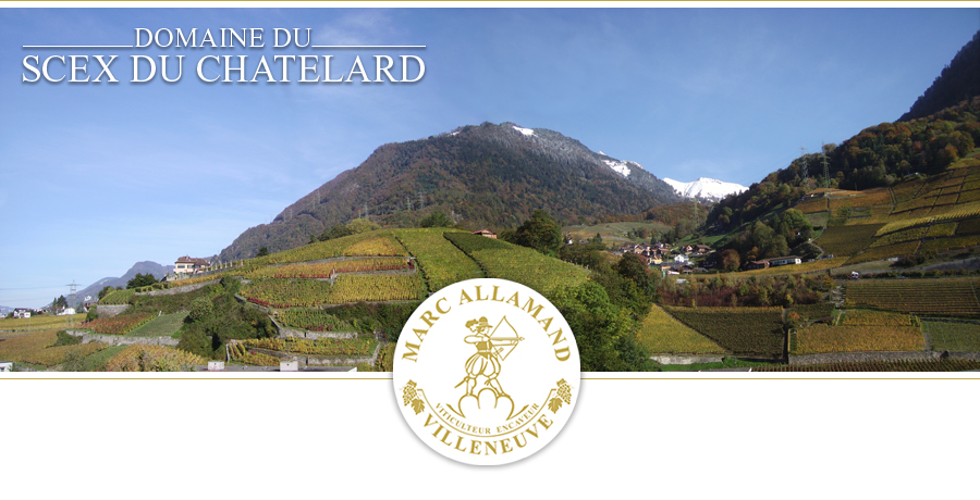Domaine du Scex du Châtelard, Villeneuve