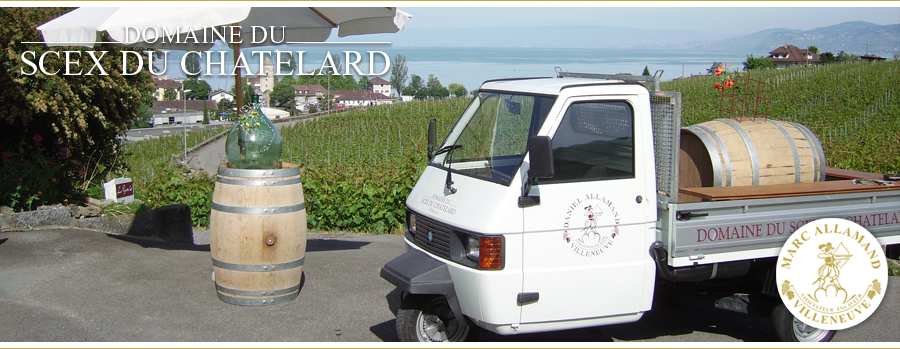 Domaine du Scex du Châtelard, Villeneuve