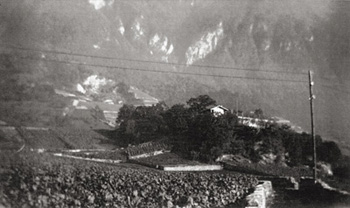 domaine viticole