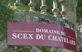 domaine viticole